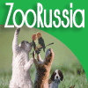 ZooRussia Professional 2008